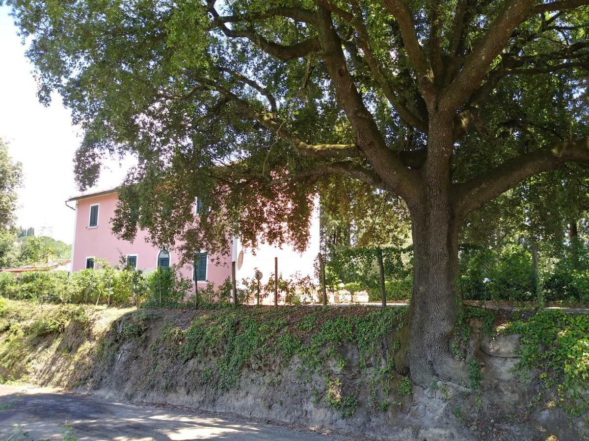 Podere Il Leccione Palaia Exterior photo